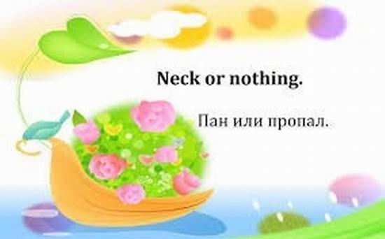 100 ����� ���������������� �������� �� ����������