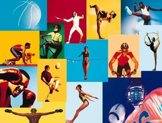  My Favourite Sports -    