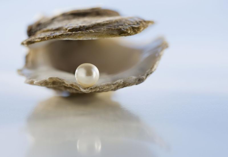 The Pearl - ��������� (�������)