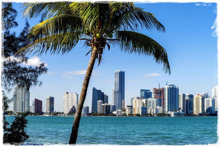 Топик Florida - Флорида